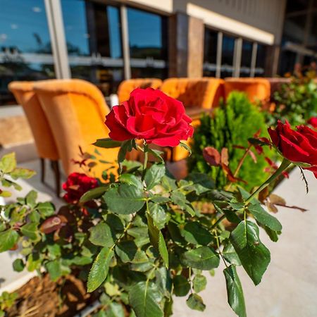 New Karaman Hotel エクステリア 写真